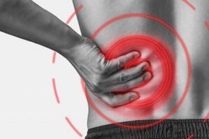 Bones and cartilage of the lumbar spine