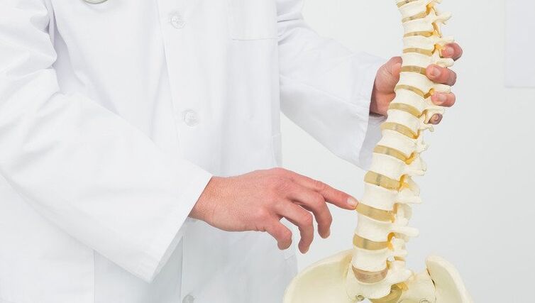 Doctor demonstrates the development process of osteochondrosis