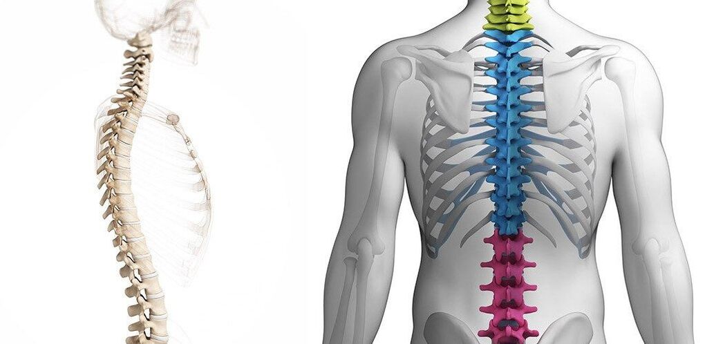 Thoracic spine injury with osteochondrosis